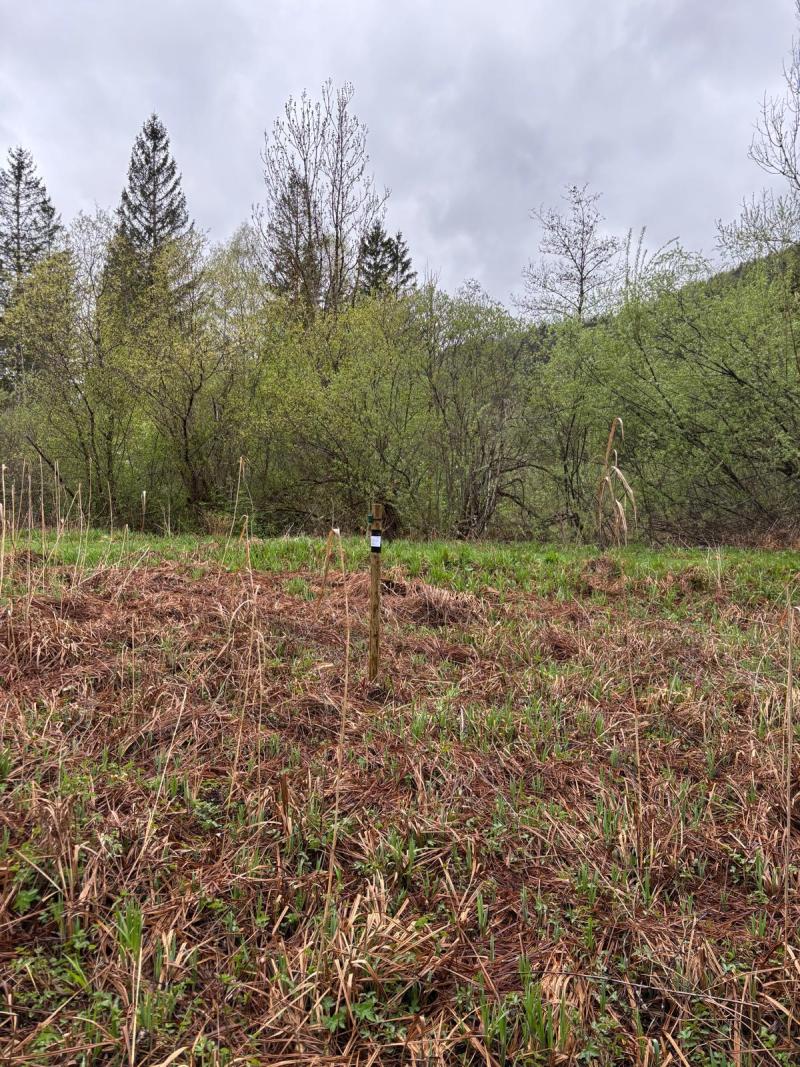 AudioMoth device installation 1