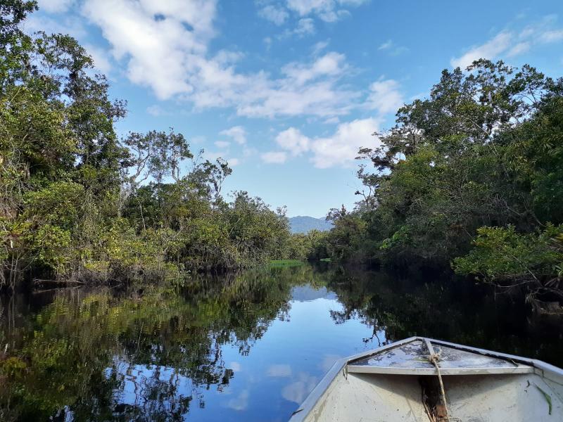 Guaraguaçu river and the mountains behind