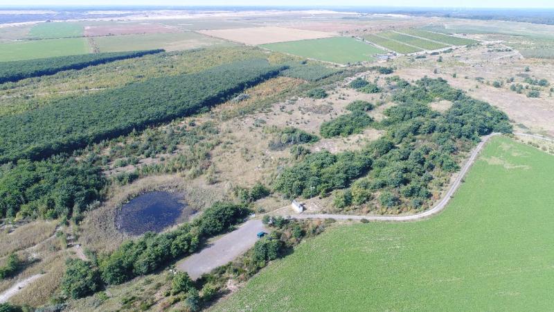 Chicken Creek catchment in 2017 (source: BTU Cottbus-Senftenberg, ZLT)