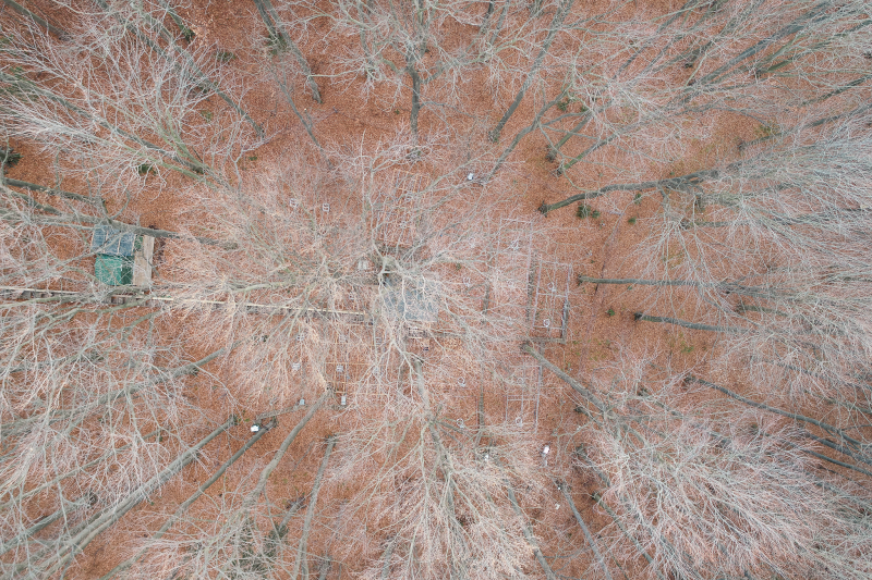 Overview DRAIN Station (2025) © Marschick, BOKU