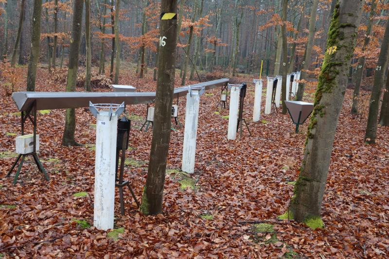 Precipitation gauges and litter fall traps in a beech stand
