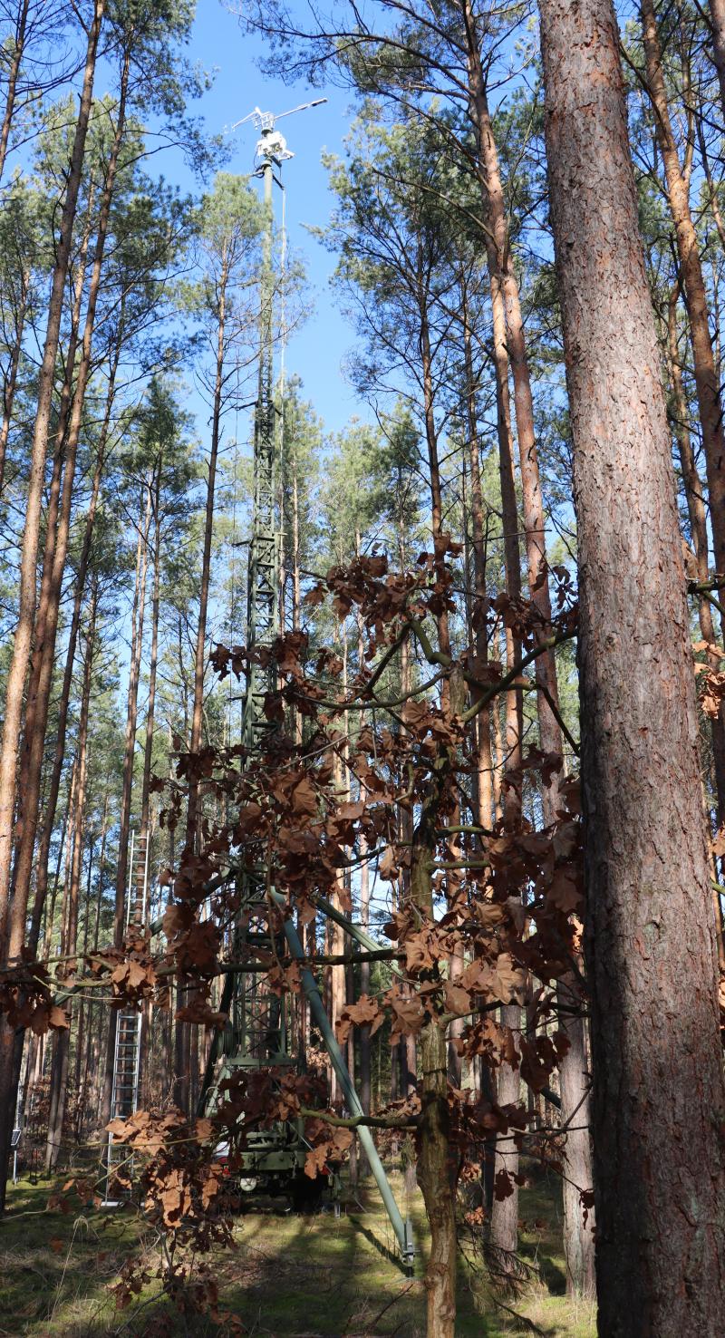 Eddy covariance tower