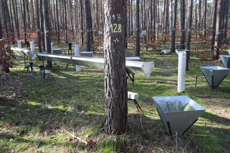 Precipitation gauges and litter fall traps