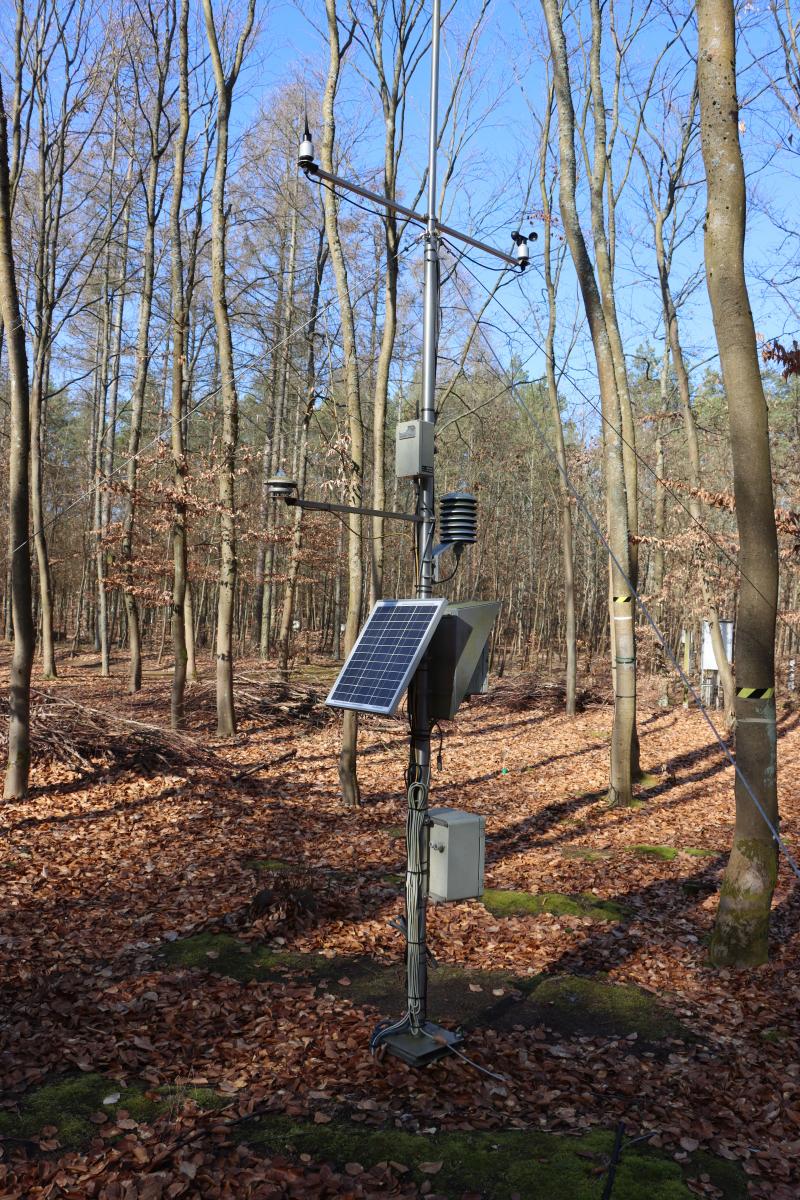 Climate station in a beech stand