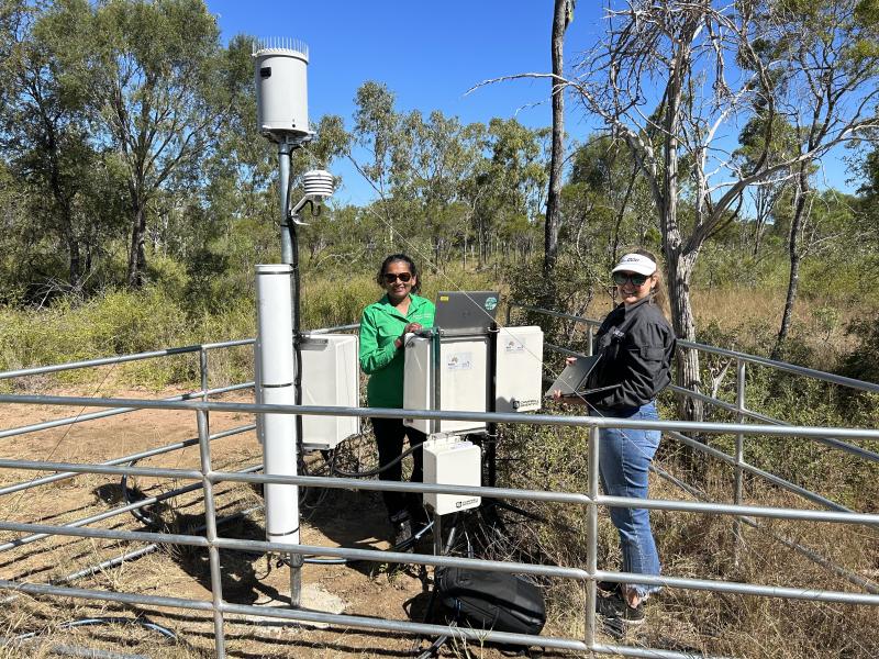 Instruments maintenance