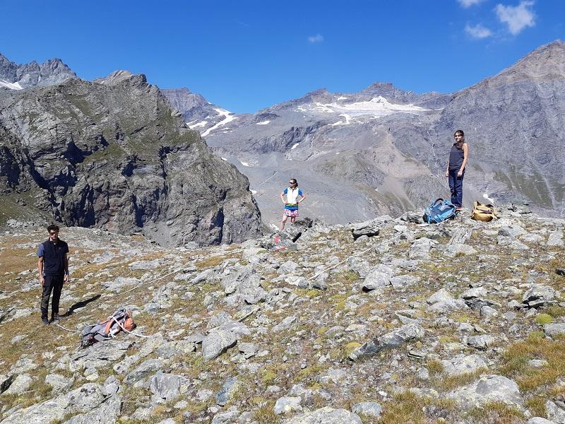 Phyto-phenology surveys