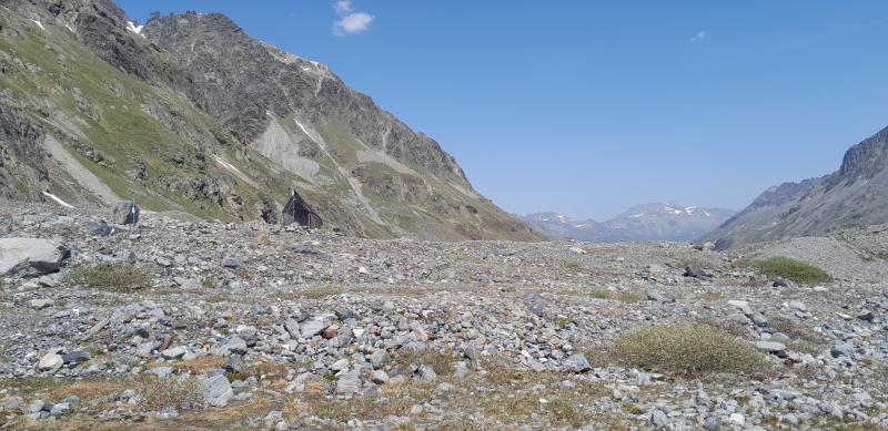 Malaise falle and Audiorecorders