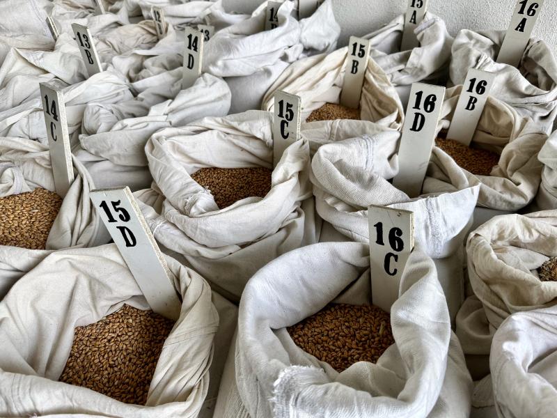 different sorts of organic grain filled into bags