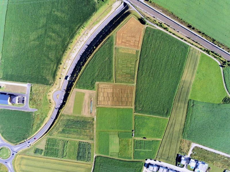orthophoto of cultivation plots on the sampling field in Lambach
