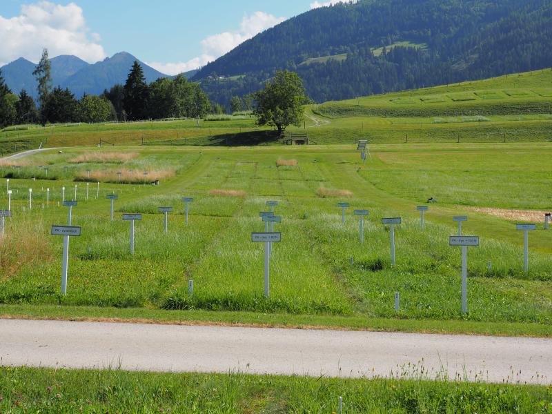 sampling location of the yield-dynamic manure trial (GL-484)