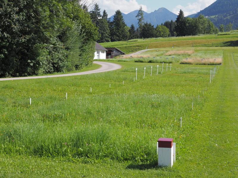 sampling location of the nutrient deficiency trial (GL-432.A)