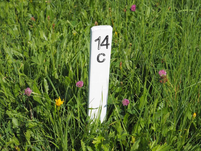 marker point of a plot at sampling location of the nutrient deficiency trial (GL-432.A)