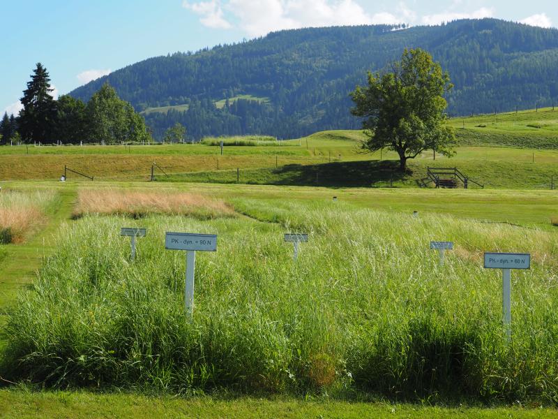 sampling location of the fertilization and utilisation trial (GL-433)