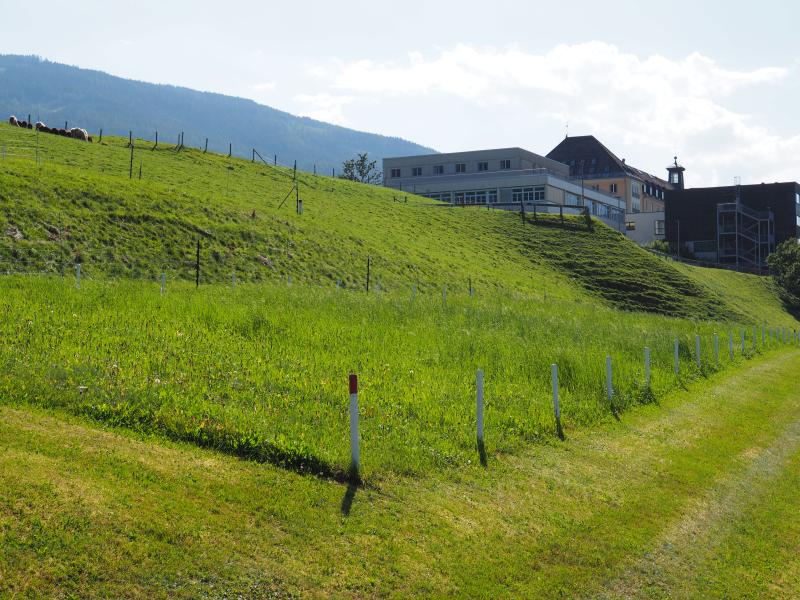 sampling location of the slurry trial (GL-444)