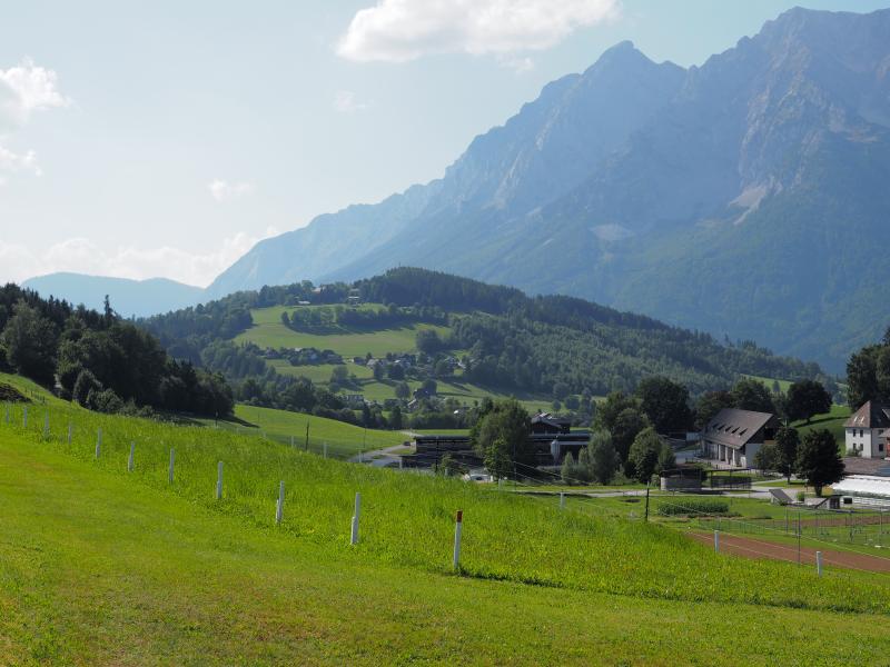 sampling location of the slurry trial (GL-444)