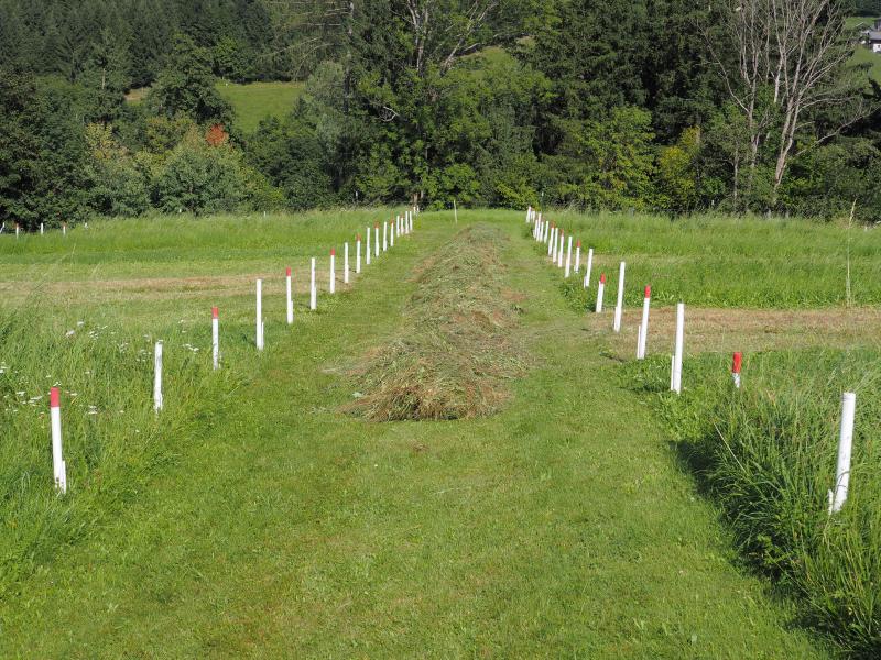 sampling location of the cutting frequency trial (GL-434.A)