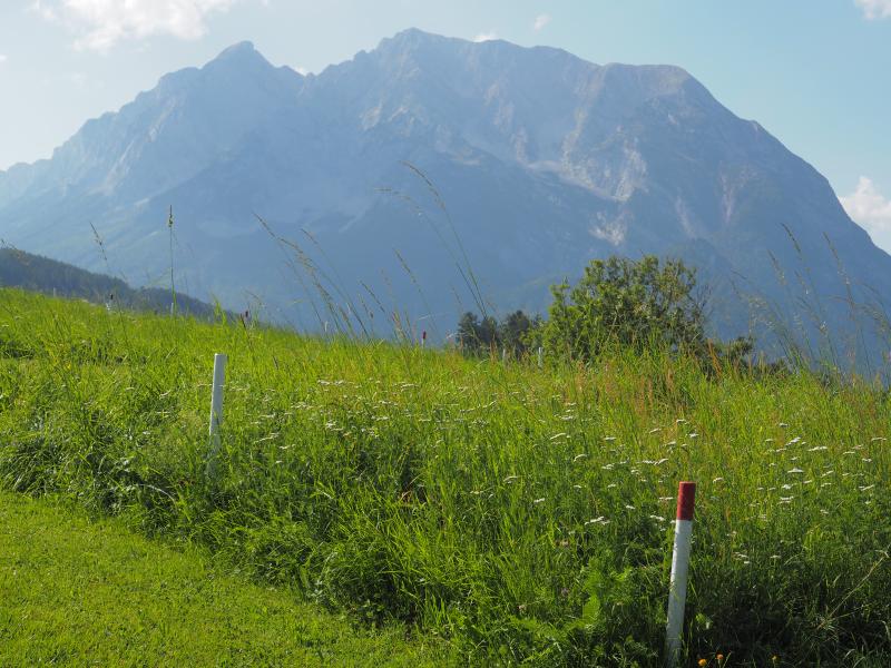 sampling location of the cutting frequency trial (GL-434.A)