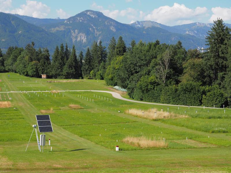 sampling location of the yield-dynamic manure trial (GL-484)