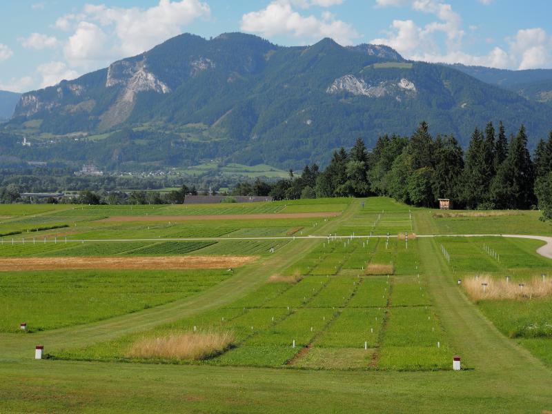 sampling location of the yield-dynamic manure trial (GL-484)