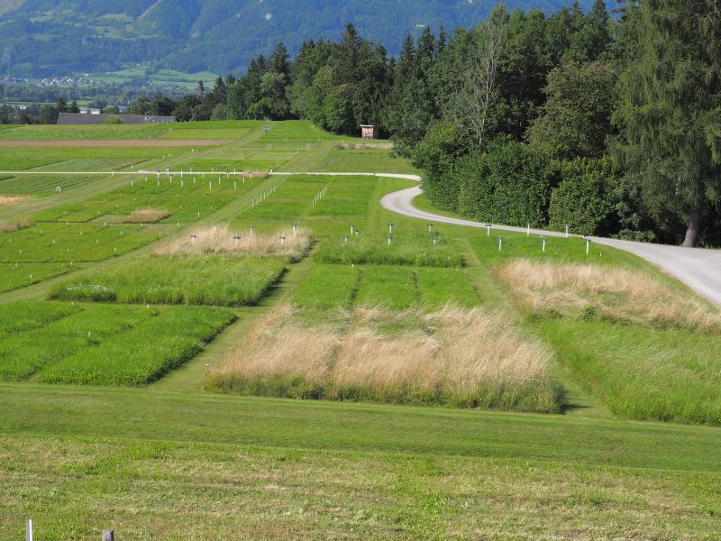 sampling location of the fertilization and utilisation trial (GL-433)