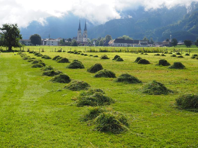 Long-Term grassland trial in Admont since 1944