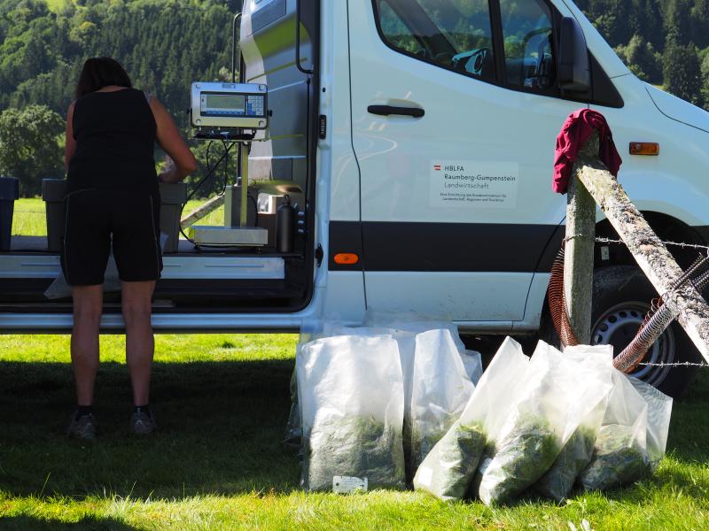 weight measurement samples of grass harvest