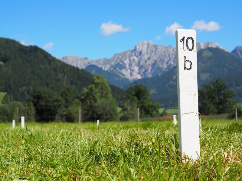 marking of the experimental plots