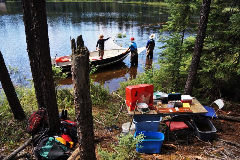 Researchers on a boat near the edge of a lake, with a net visible in the lake and fish research gear on the shore.