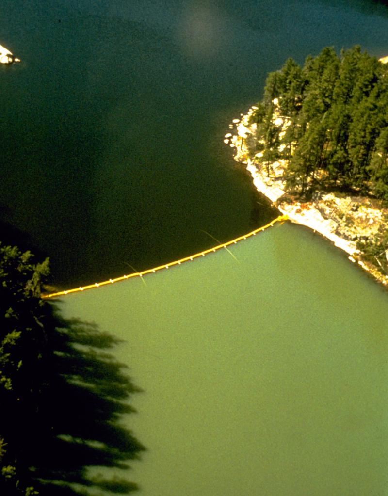 An aerial image of the famous eutrophication study, showing a curtain drawn across the lake with one side regular dark water and the other a bright green, full of algae.