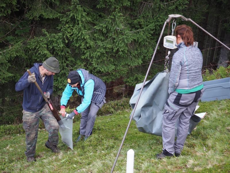 weight measurement of the harvest of each plot and collecting mixed samples