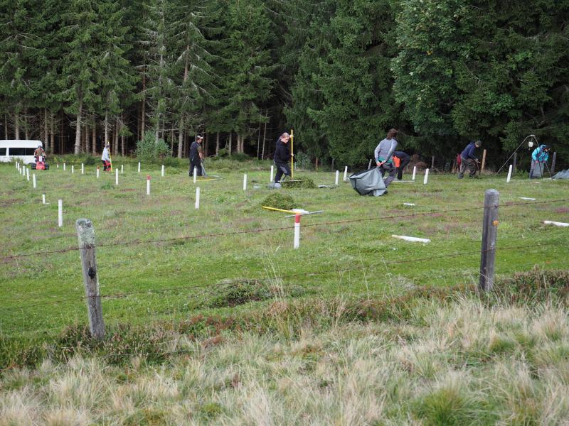 work at the research area