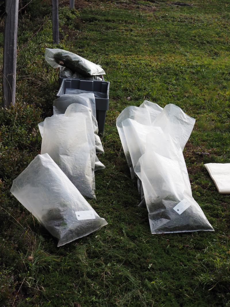 mixed samples in bags