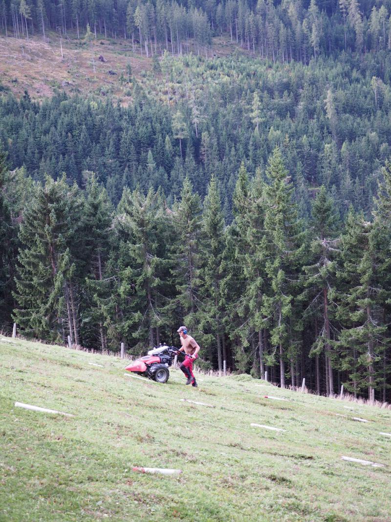 harvesting with bar mower