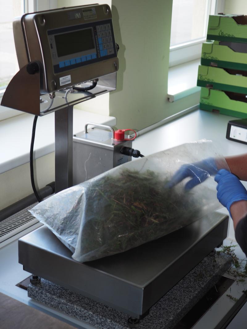 exact weight measurement