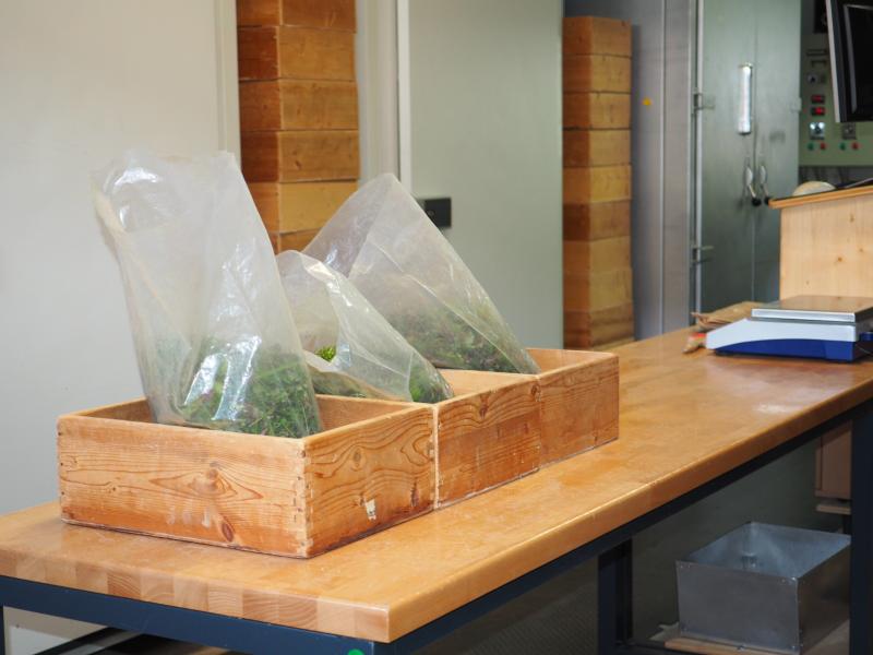 preparation for drying