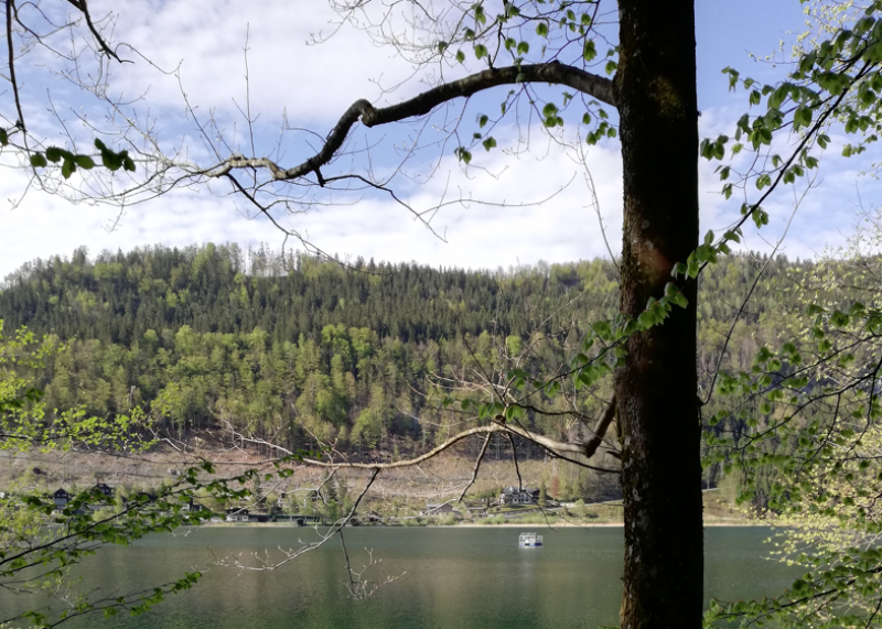 The lake monitoring station during summer.