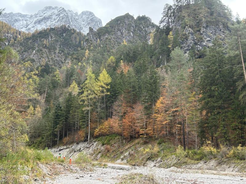 eLTER forest plot Humlechnergraben