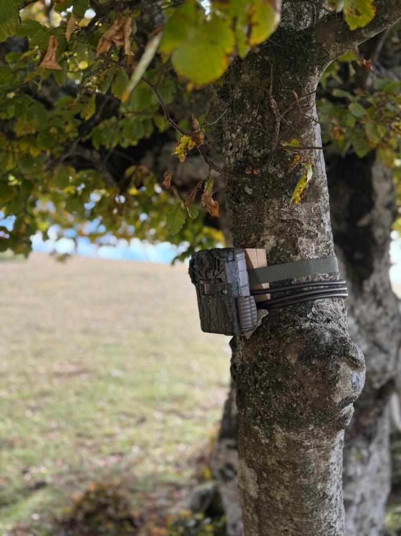 Camera trap for biodiversity monitoring