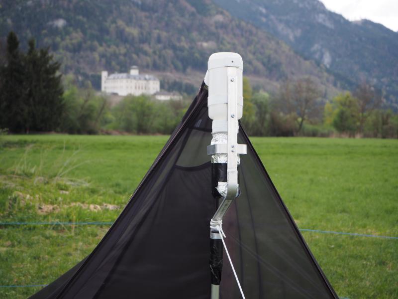 Malaise Trap with collection bottle