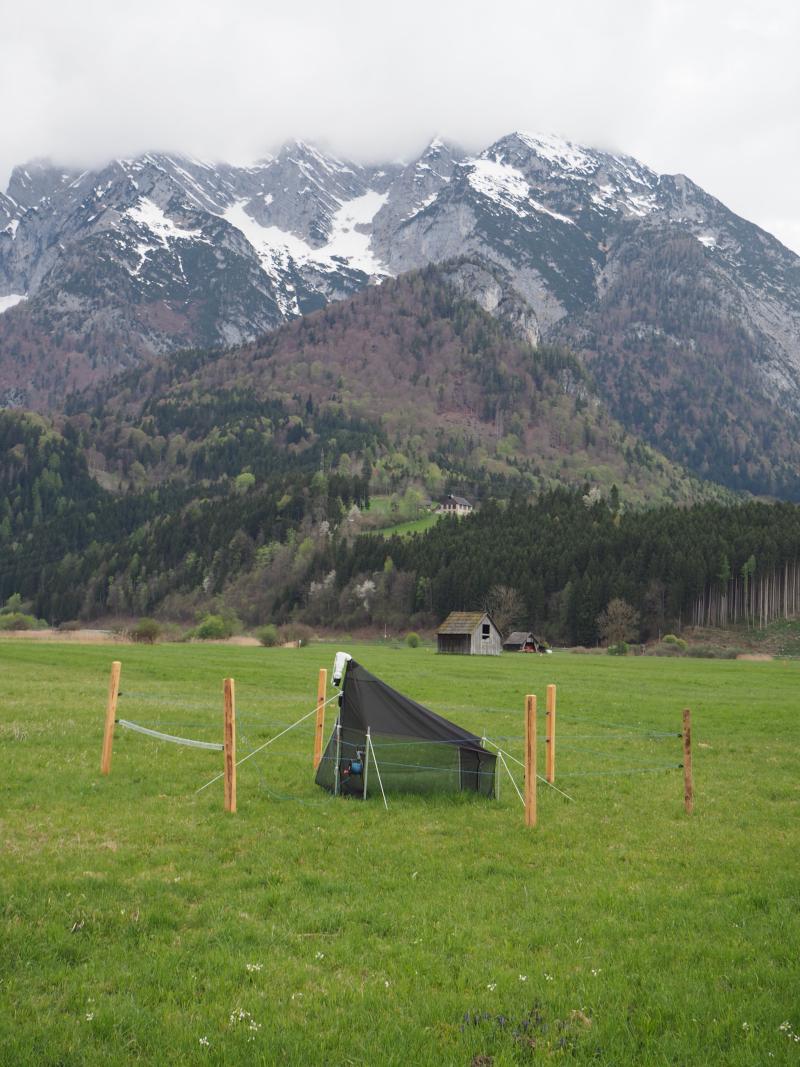 Malaise Trap at organic grassland location Moarhof
