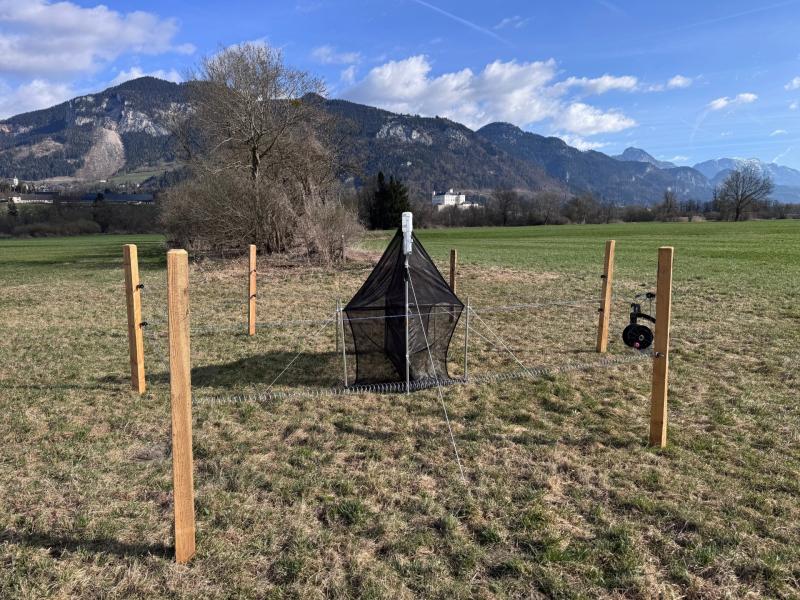 Malaise trap on organically managed grassland