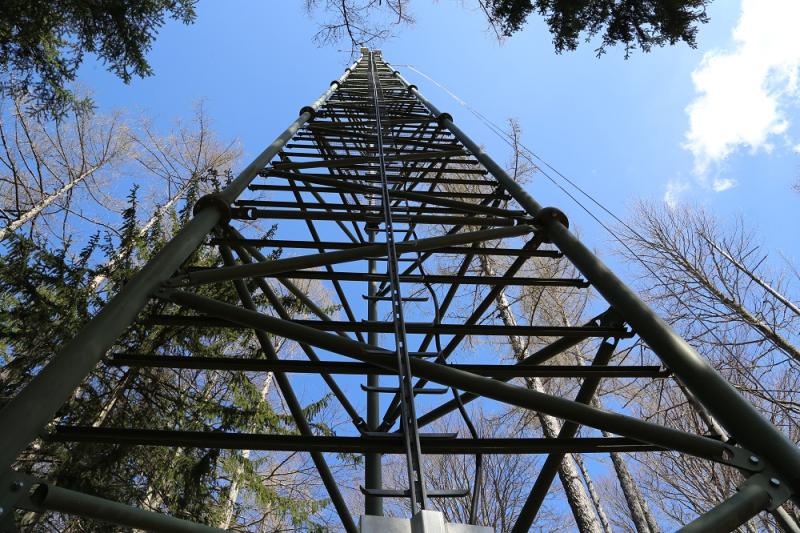 Measurement tower (above canopy)