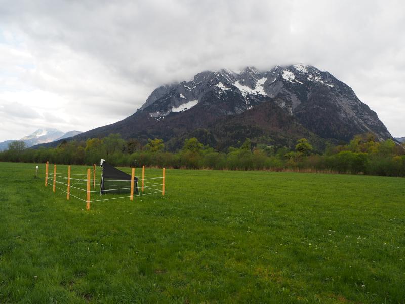 Malaise trap on Felsnerwiese