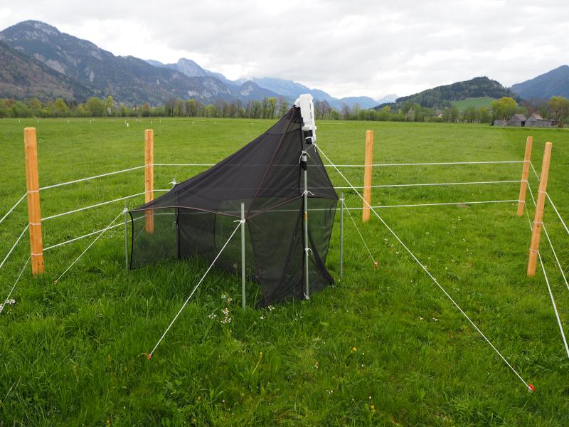 Malaise Trap on Felsnerwiese