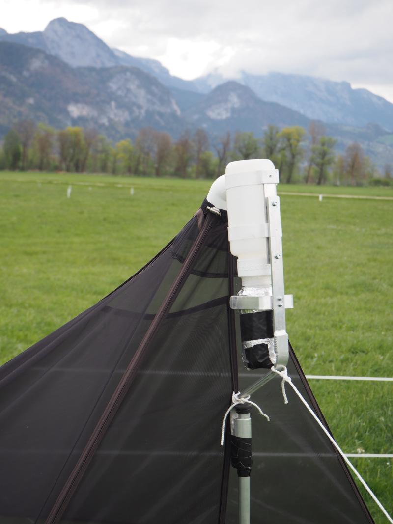 Malaise trap with collection bottle