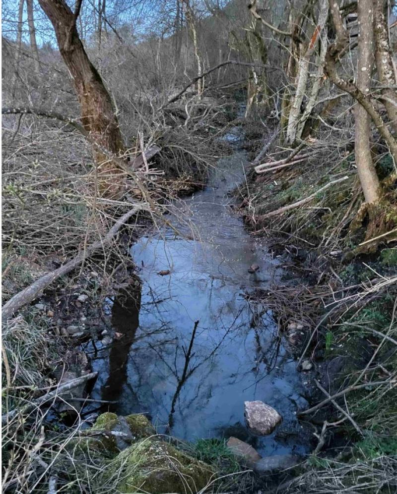 Partially working drainage ditch