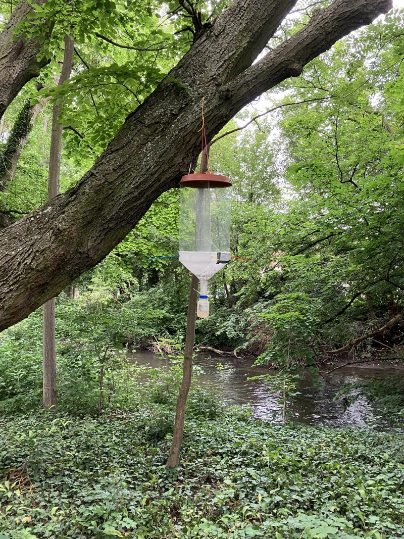 Interception trap for invertebrates