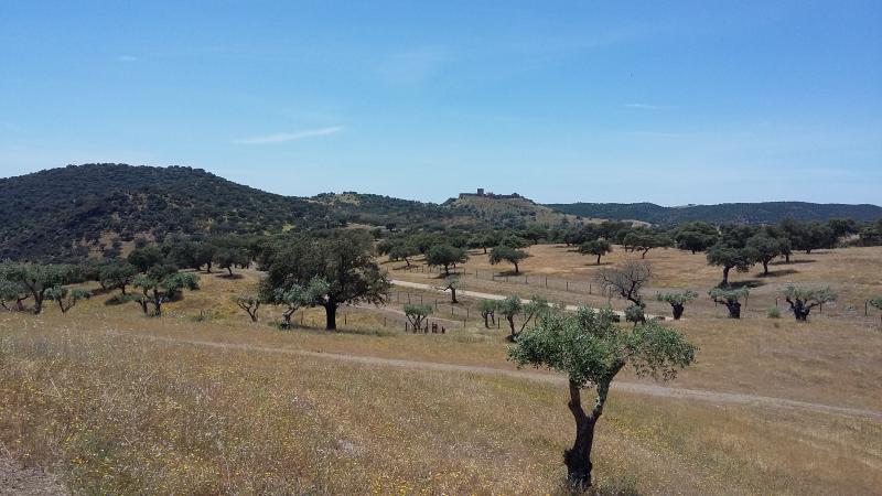 Herdade da Coitadinha - Portugal | DEIMS-SDR