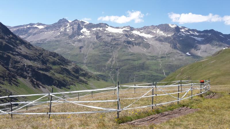 study site Hohe Mut, big fence (picture: Alpine Research Centre Obergurgl)