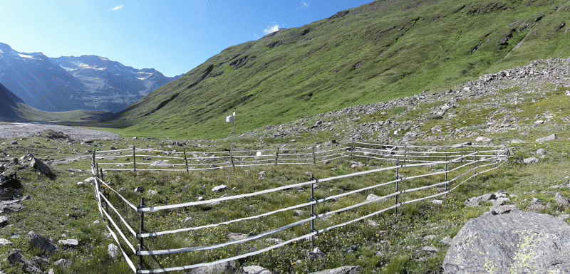 study site Rotmoos valley, glacier moraine 1858 (picture: Alpine Research Centre Obergurgl)